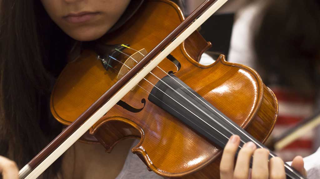 Violino